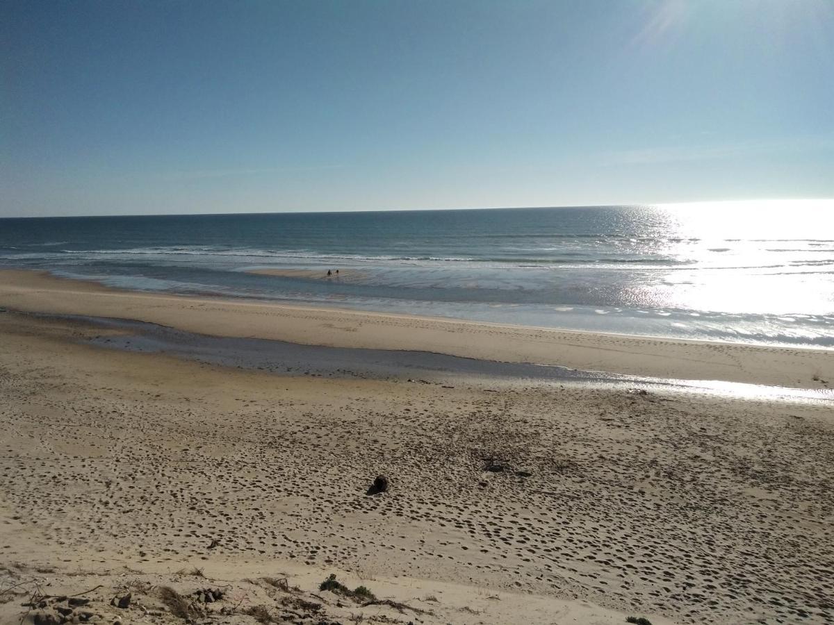 Zenzela Surf House Hotel Naujac-sur-Mer Bagian luar foto